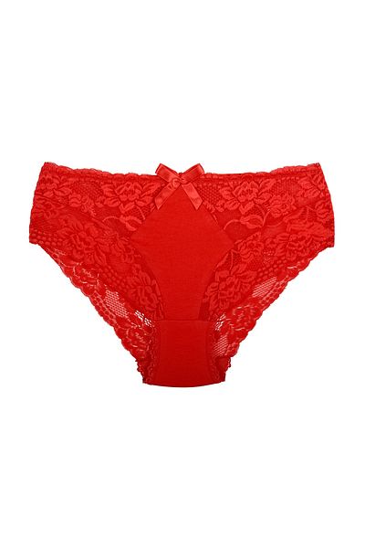 Zena 3-Piece Lace And Cotton Plus Size Women's Panties