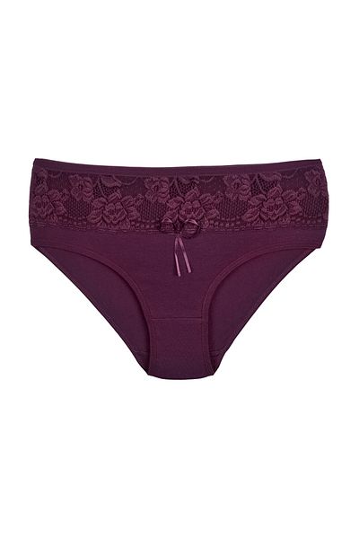 Zena Purple Cotton Front Stripe Lace Detailed Plus Size Women's Panties