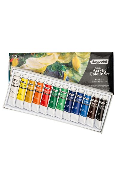Bigpoint Artist's Serisi Akrilik Boya 12ml 12'li Set Ana Renkler