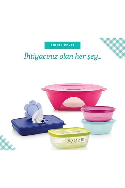 Tupperware Serving Meat Storage and Cleaning Picnic Set