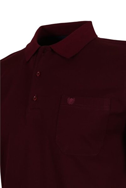 Modarar Men's Claret Red Color Polo Collar T-Shirt Cotton Regular Cut Rar00865