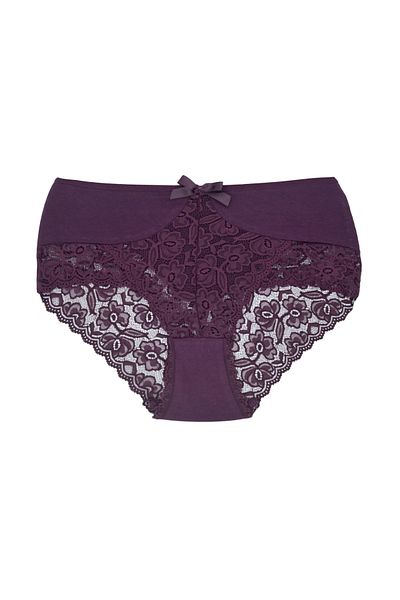 Zena 3-Piece High Waist Lace Front and Back Plus Size Women's Panties