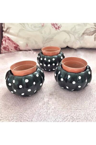 Minik Mucizeler 3’lü Siyah Balkabağı Saksı