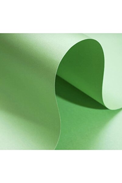 New Bliss Decor Studio 5 Adet Sedef Inci Fon Kartonu 50*70 Cm 160 Gr.