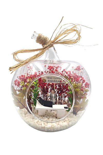 maya sanat Teraryum Elma Cam Fanus Iş Tebriği Ev Ofis Dekorasyon Konsept Hediyelik Kadın