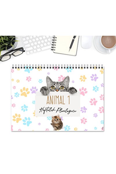 Express مخطط أسبوعي مقاس A4 للقطط والحيوانات 1