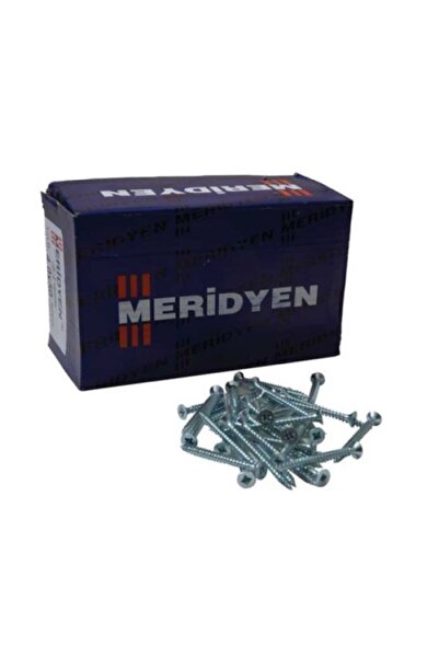 Meridyen Sunta Vidası 3.5x18 (1000 Lik )