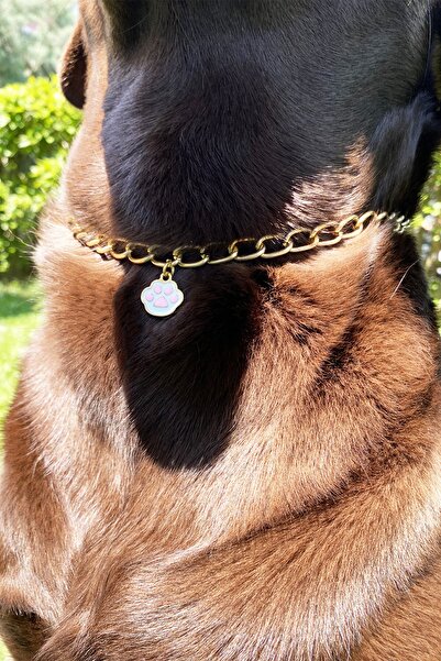 Petella Köpek Boyun Tasması Köpek Tasması Pembe Pati Detaylı Ayarlanabilir Köpek Kolyesi Gold Zincir