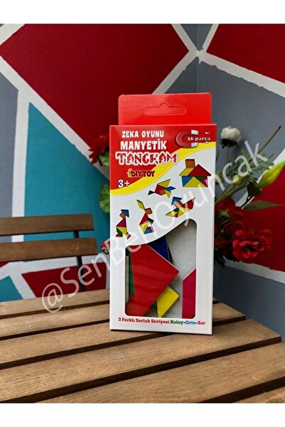 Diytoy Manyetik Zeka Oyunu Tangram