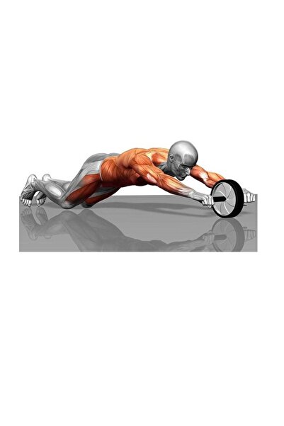 CIWAA Cwa-2248 Egzersiz Fitness Tekerleği