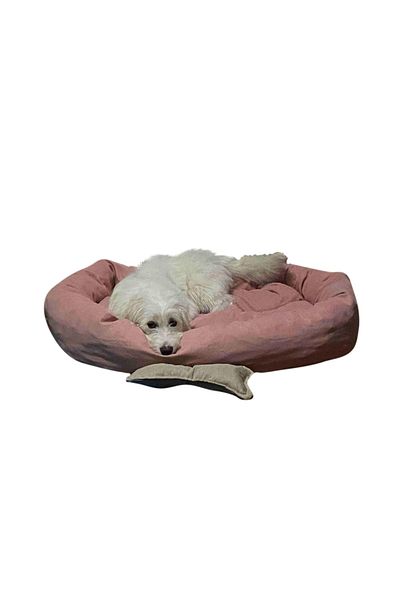 Patili Evler Oval Dog Bed with Bone Cushion 65x80 Cm - Soft Form - Indoor Bed for Medium Breeds -
