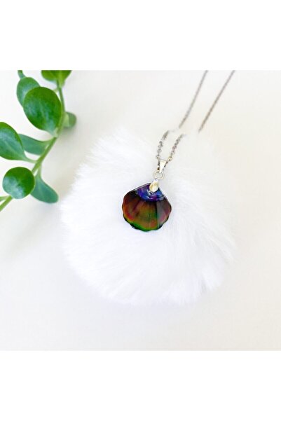 Acousticworld Gümüş Renk Istiridye Deniz Kabuğu Model His Taşı Kolye Aksesuar...