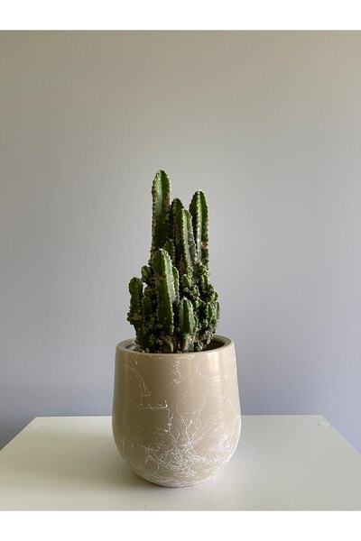 odka 7litre Armut Saksı Tabaklı 17cmx17cm Taş Mermer Desenli