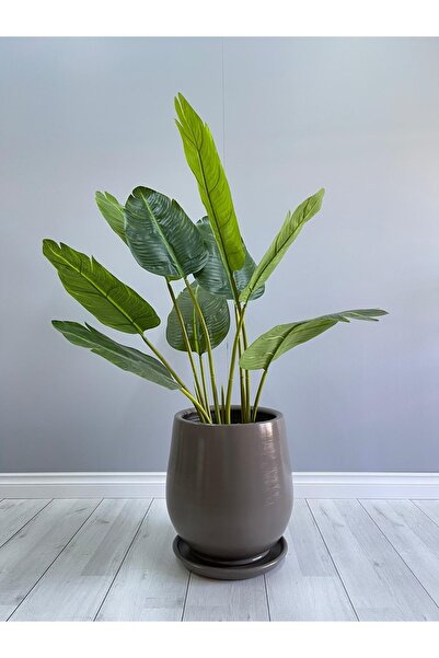 odka Armut Model Saksı H: 32cmx26cm Tabaklı Vizon Renk