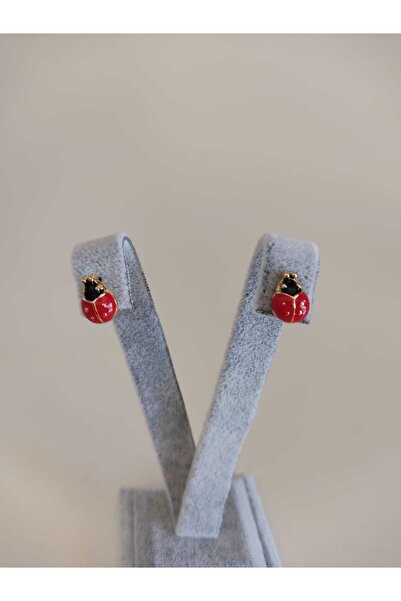 HARMONİ Çocuk Uğur Böceği Küpe