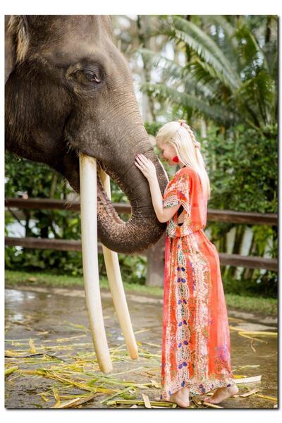 Cakatablo Ahşap Tablo Yöresel Kıyafetli Kız Ve Dev Dişleriyle Fil (25x35 Cm B...