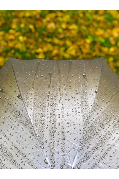 Rainwalker Rüzgarda Kırılmayan Su Damlacıklı Duman Rengi Kadın Şemsiye