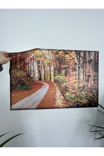 Akıllı Kağıt Statik Tutunma Özellikli Tablo - Poster Manzara (Model - 25)