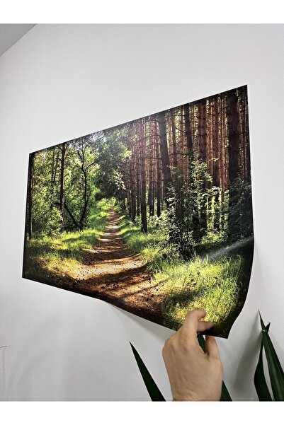 Akıllı Kağıt Statik Tutunma Özellikli Tablo - Poster Manzara (Model-23)