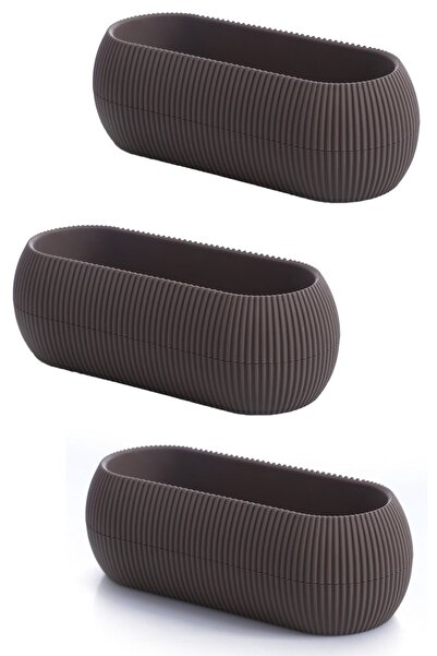 TEMMUZ HOME 3 Adet 2 No Lu Uzun Mercan Kaktüs Sukulent Ve Çiçek Saksısı