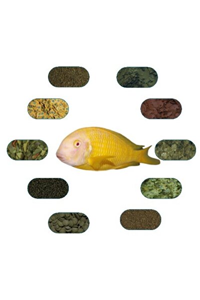 Tropical Tropheus Albino Kipili Özel Balık Yem Paketi (6 Çeşit) 50