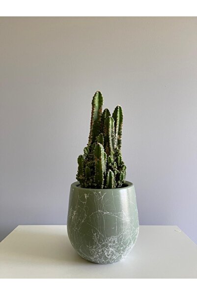 odka 7litre Armut Saksı Tabaklı 17cmx17cm Mint Yeşili Renk Mermer Desenli