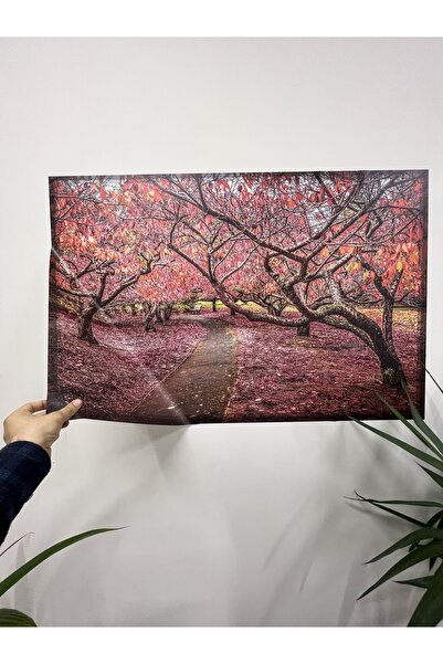 Akıllı Kağıt Statik Tutunma Özellikli Tablo - Poster Manzara (Model-26)