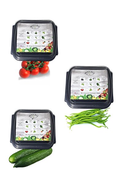 Minia Bahçe Bitki ve Sanat Atölyesi Salkım Domates-tatlı Kıl Biber-salatalık Çimlendirme Kiti (3'lü Set)