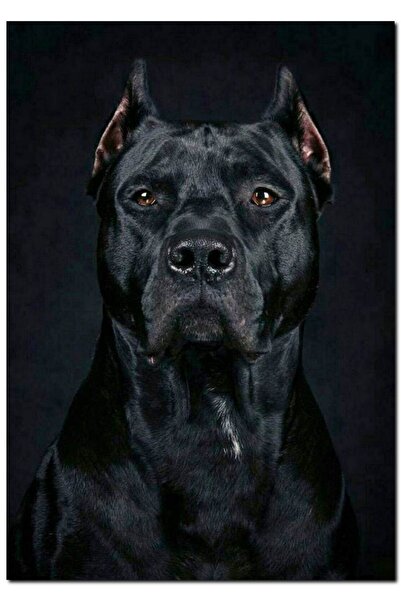 Cakatablo Ahşap Tablo Pitbull Cinsi Köpek (25x35 Cm Boyut)