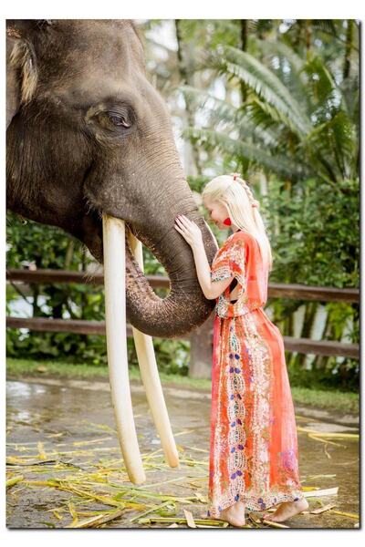 Cakatablo Ahşap Tablo Yöresel Kıyafetli Kız Ve Dev Dişleriyle Fil (50x70 Cm B...