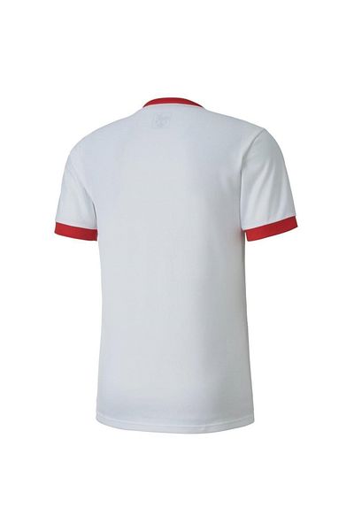 Puma Ανδρικό μπλουζάκι Team Goal 23 Jersey 70417111