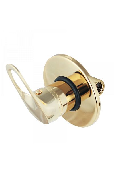 FKN Gold Built-in - Hot Cold Faucet Bidet
