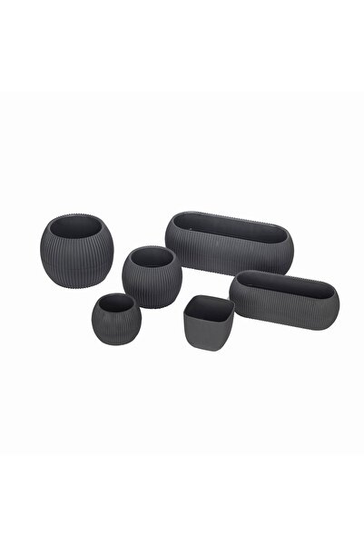 TEMMUZ HOME 6 Parça Mercan Saksı Kaktüs Sukulent Saksı Seti
