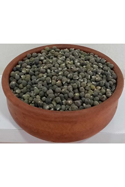 Bamya Tohumu 250 Gr