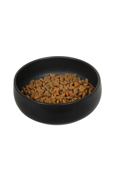 Beige & Stone Beige And Stone Ceramic Handmade Food / Water Bowl (m)