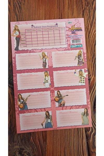 KESKİN COLOR Hannah Montana Nostalgic School Label
