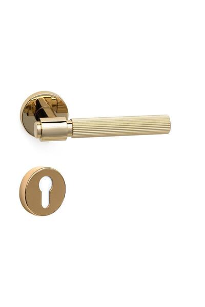 System Axes-l Yale Rozetli Altın Renk Dış Kapı Kolu Ha213ro12ygl