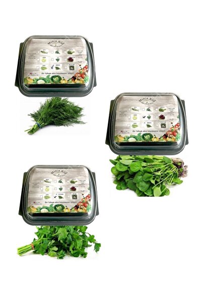 Minia Bahçe Bitki ve Sanat Atölyesi Maydanoz - Dereotu-tere Çimlendirme Kiti ...