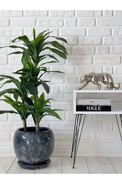 odka 10litre Küre Saksı Tabaklı 23cmx23cmx21cm Antrasit Renk Mermer Desenli