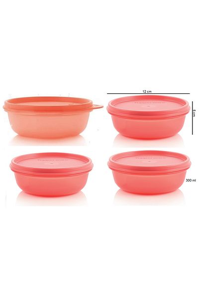 Tupperware Refrigerator Storage Container 4x300 ml