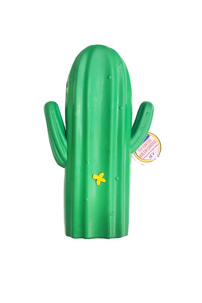 FLY COLOR Stationery and Toy World Cactus Silicone Pencil Case