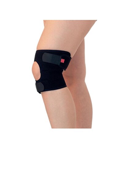 Patellar Tendon Dizlik
