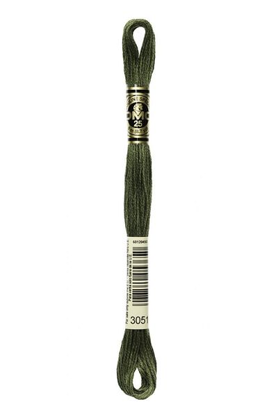 Dmc 2 Pieces Muline Thread Color: 3051