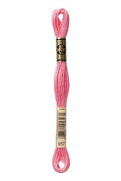 Dmc 2 Pieces Muline Thread Color: 957