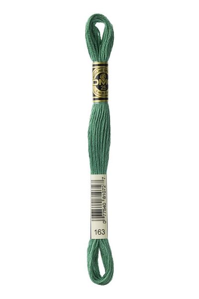 Dmc 2 Pieces Muline Thread Color: 163