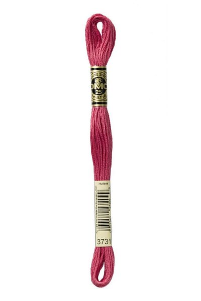 Dmc Muline Thread Color: 3731 2 Pieces