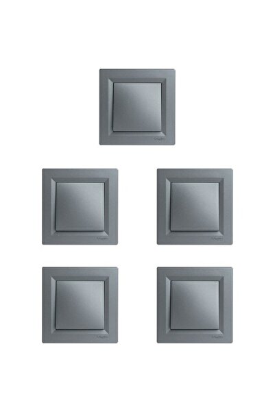 SCHNEIDER Asfora Çelik Anahtar 5 'li Paket (çerçeveli)