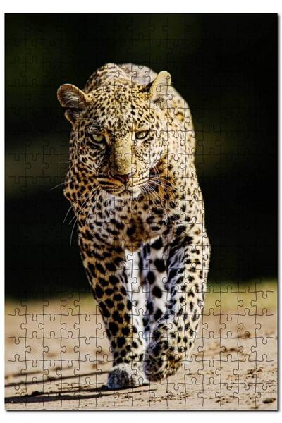 Cakapuzzle لغز الصور المقطوعة المكون من 1000 قطعة من Leopard Flu ذو النظرة ال...