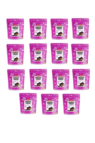 Pol's 15 Adet Freeze Fresh Böğürtlen Kuru