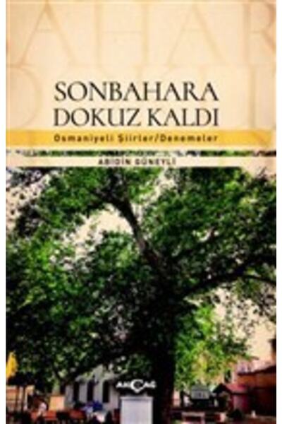 Akçağ Yayınları Sonbahara Dokuz Kaldı / Abidin Güneyli / / 9786053426349
